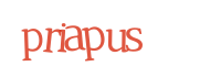 captcha txt